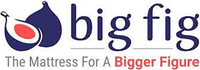 Big Fig - Executive Recruiting Agency Client